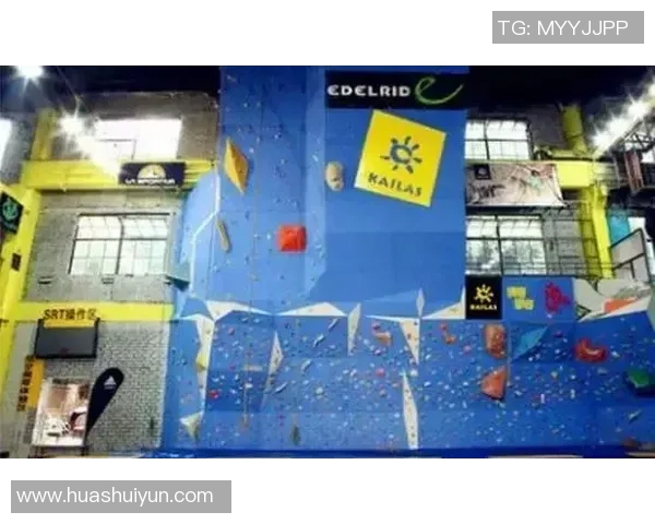 武汉攀岩队的控制策略与成绩分析探讨攀岩运动的得失与发展方向